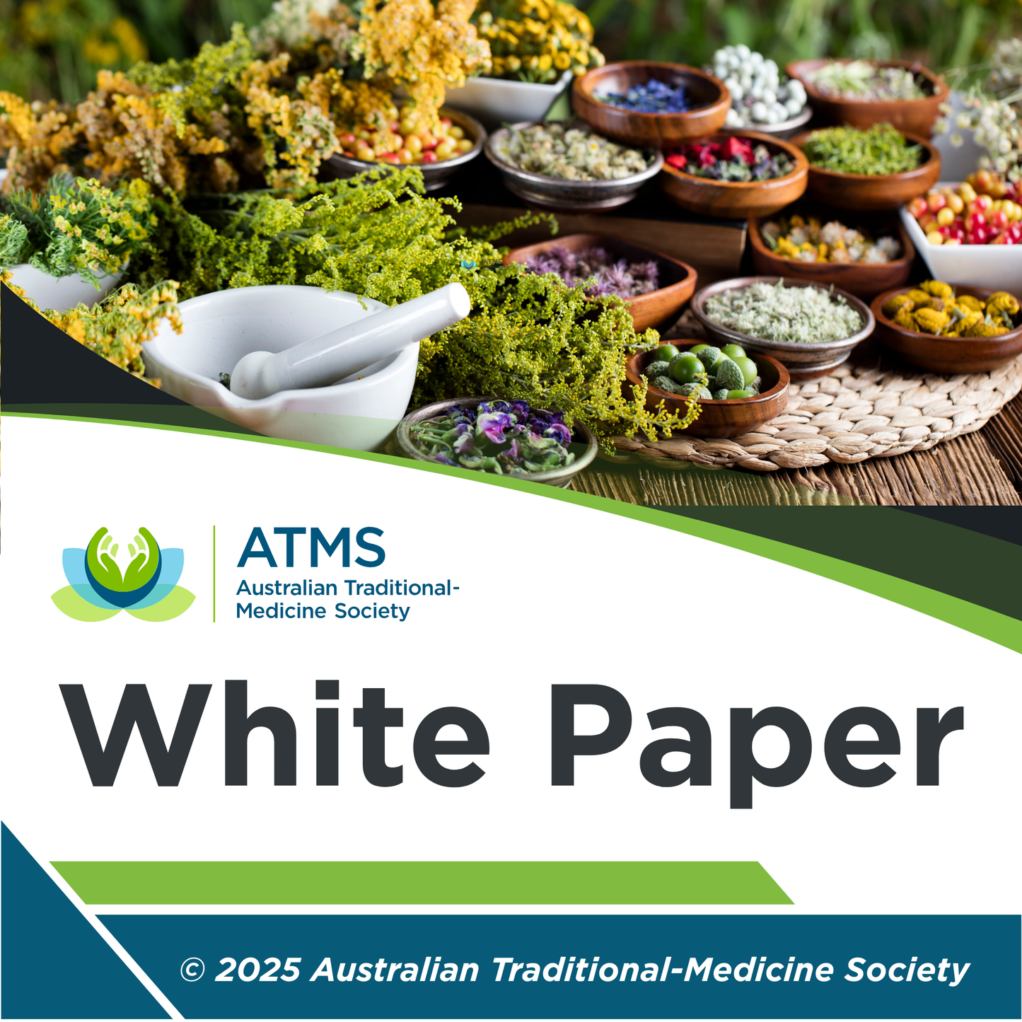 White Paper